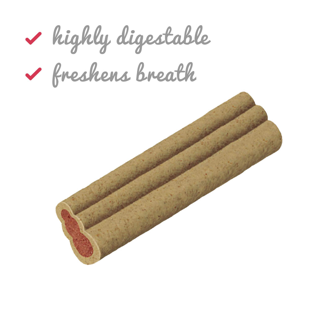 Ziggies Kong pour la santé dentaire et haleine fraîche