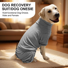 KOOGAL pyjama chien gris 4XL, usage post-chirurgie et protection douce.