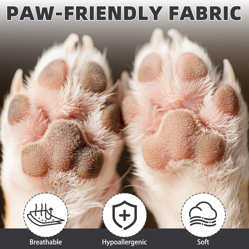 KOOLTAIL chaussettes-chien protection-pattes-pavement-chaud: protège du trottoir chaud