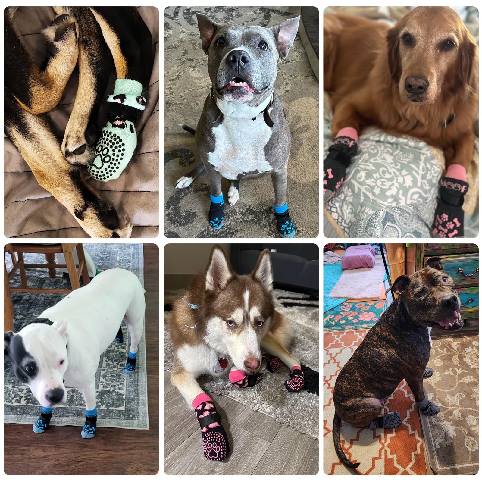 KOOLTAIL chaussettes protectrices chien interieur usage discret.