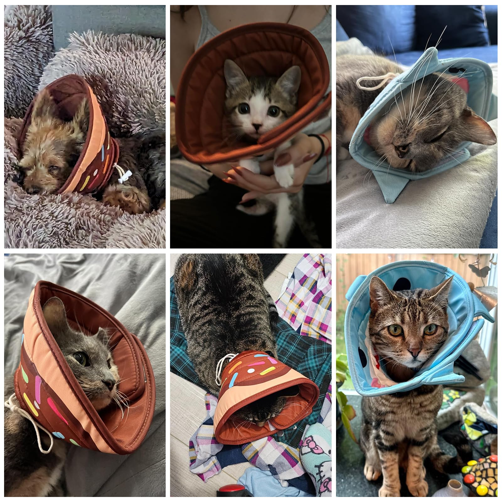 KOOLTAIL cône réglable tailles S à L, ajustement sûr