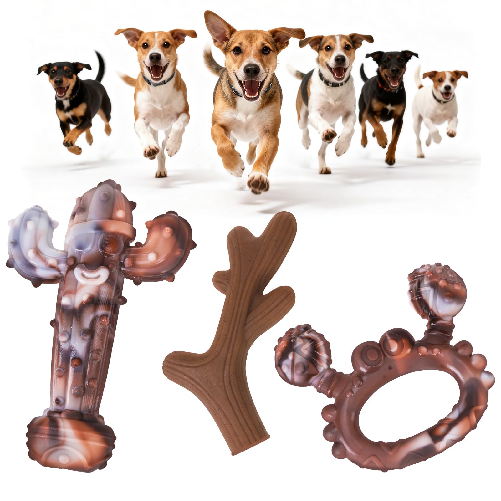 KOOLTAIL jouetchien-crabe en nylon indestructible pour mâchoires puissantes et durables.