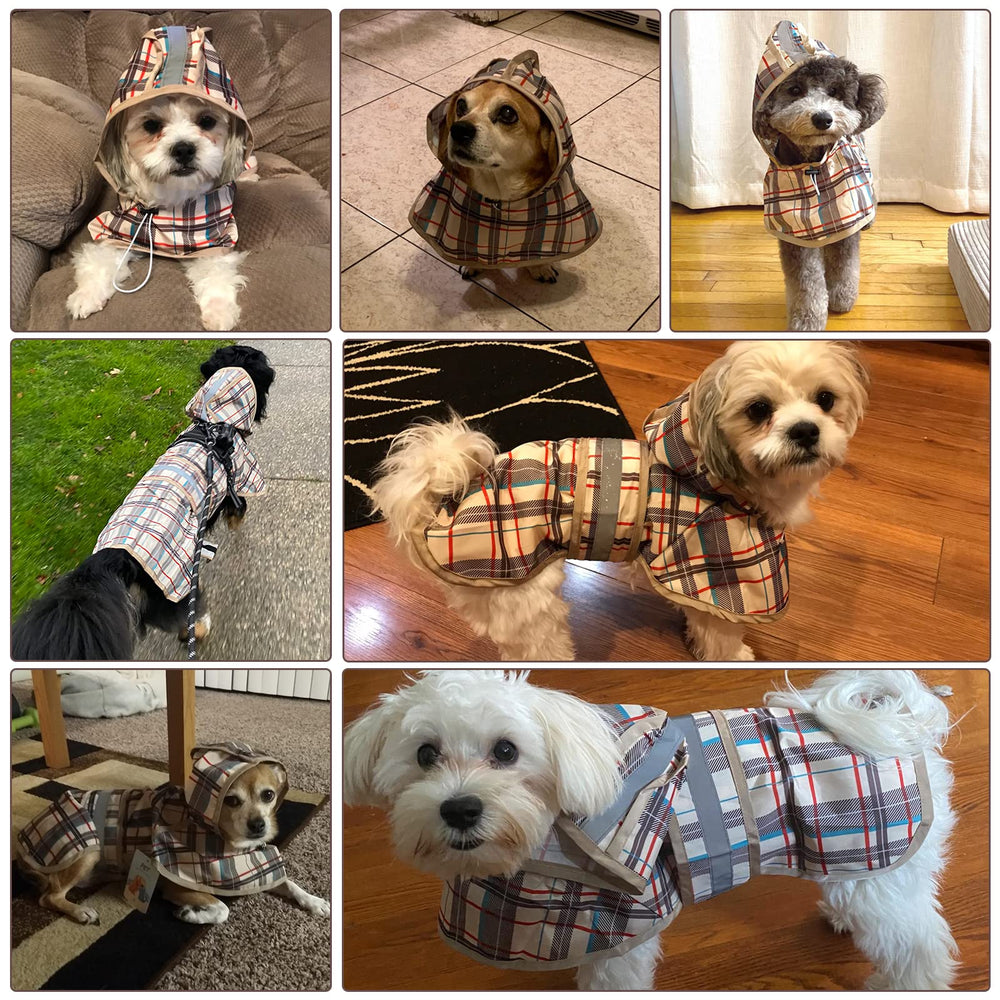 KOOLTAIL motif plaid chic pour sorties pluvieuses