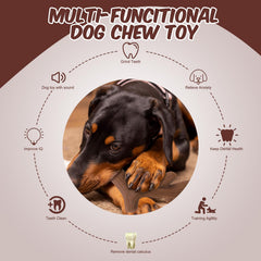 KOOLTAIL pack-trio jouets chien, variété et stimulation accrues.