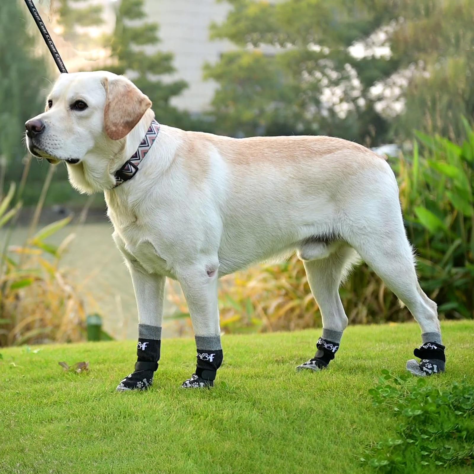 KOOLTAIL protection patte pour sols en bois et tapis.