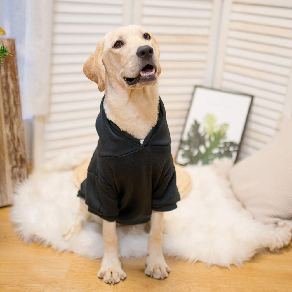 KOOLTAIL sweat-shirt chien noir – enfiler rapidement et lavage en machine facile.