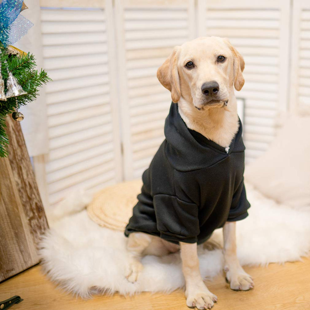 KOOLTAIL sweat-shirt chien noir – ourlet élastique assure un ajustement confortable.