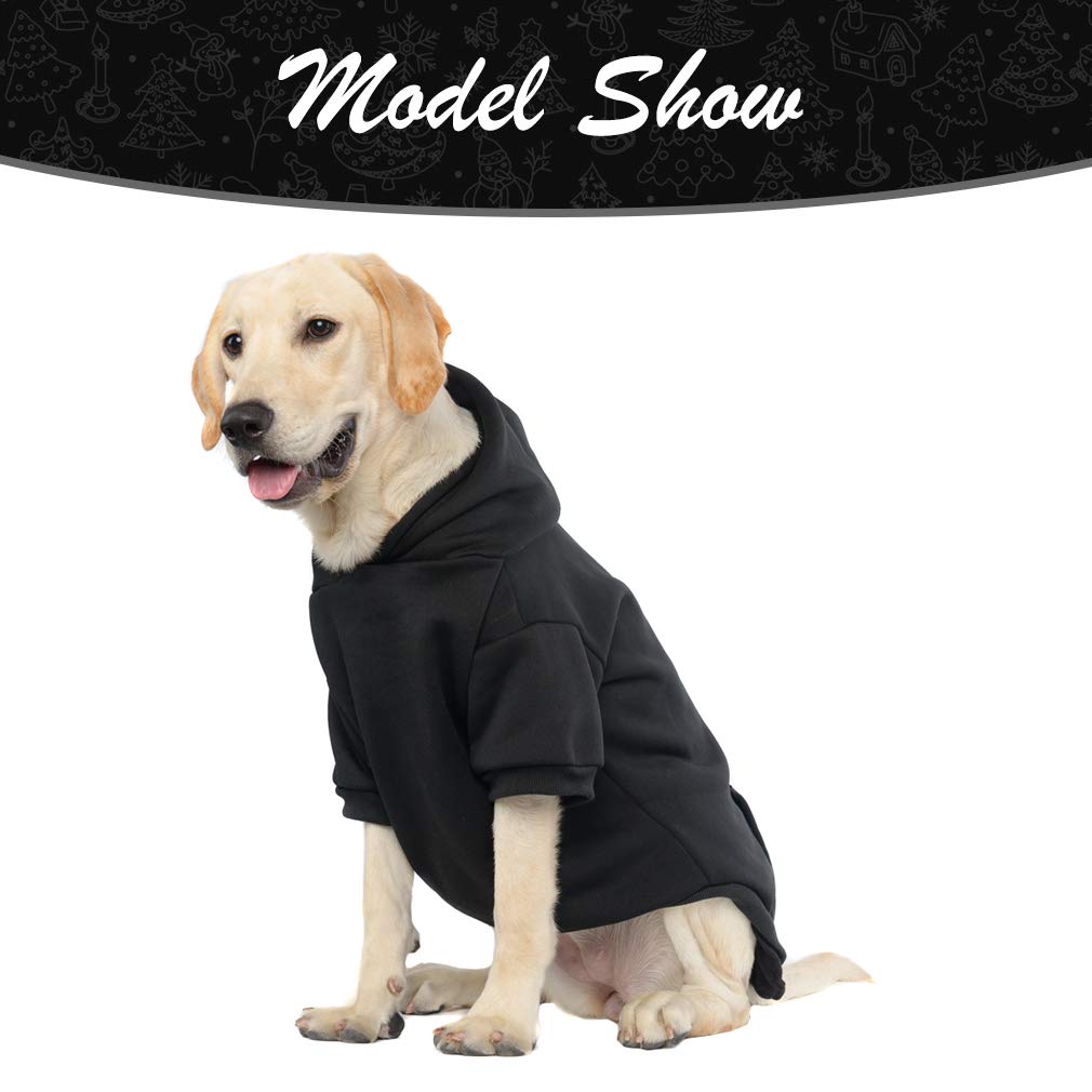 KOOLTAIL sweat-shirt chien noir – style sportif pour un look décontracté en ville.