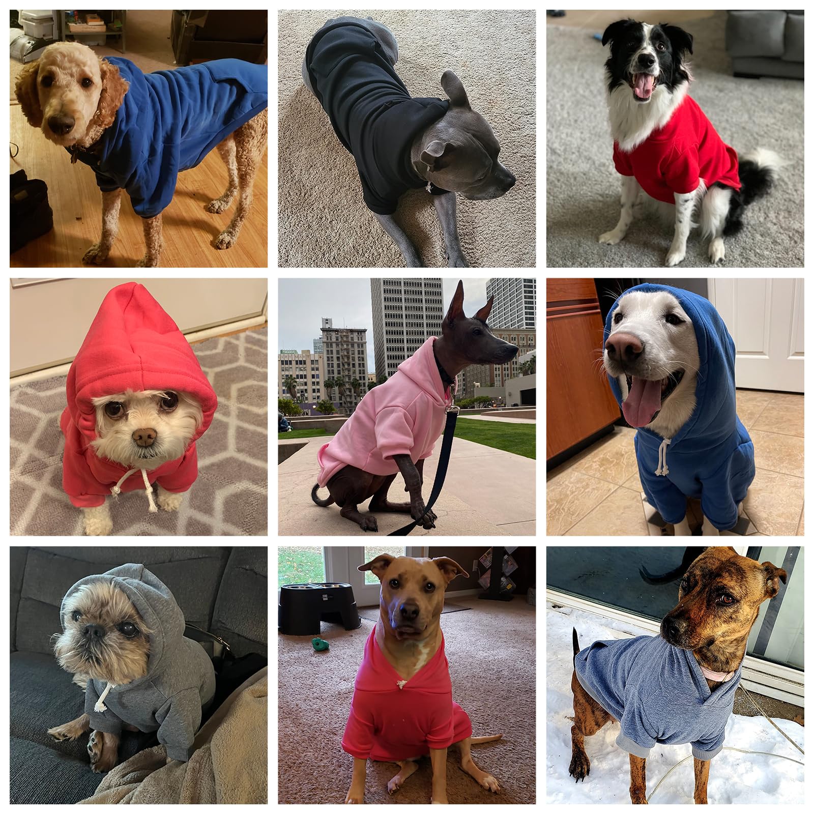 KOOLTAIL sweat-shirt chien noir – trou pour laisse discret facilite les promenades.