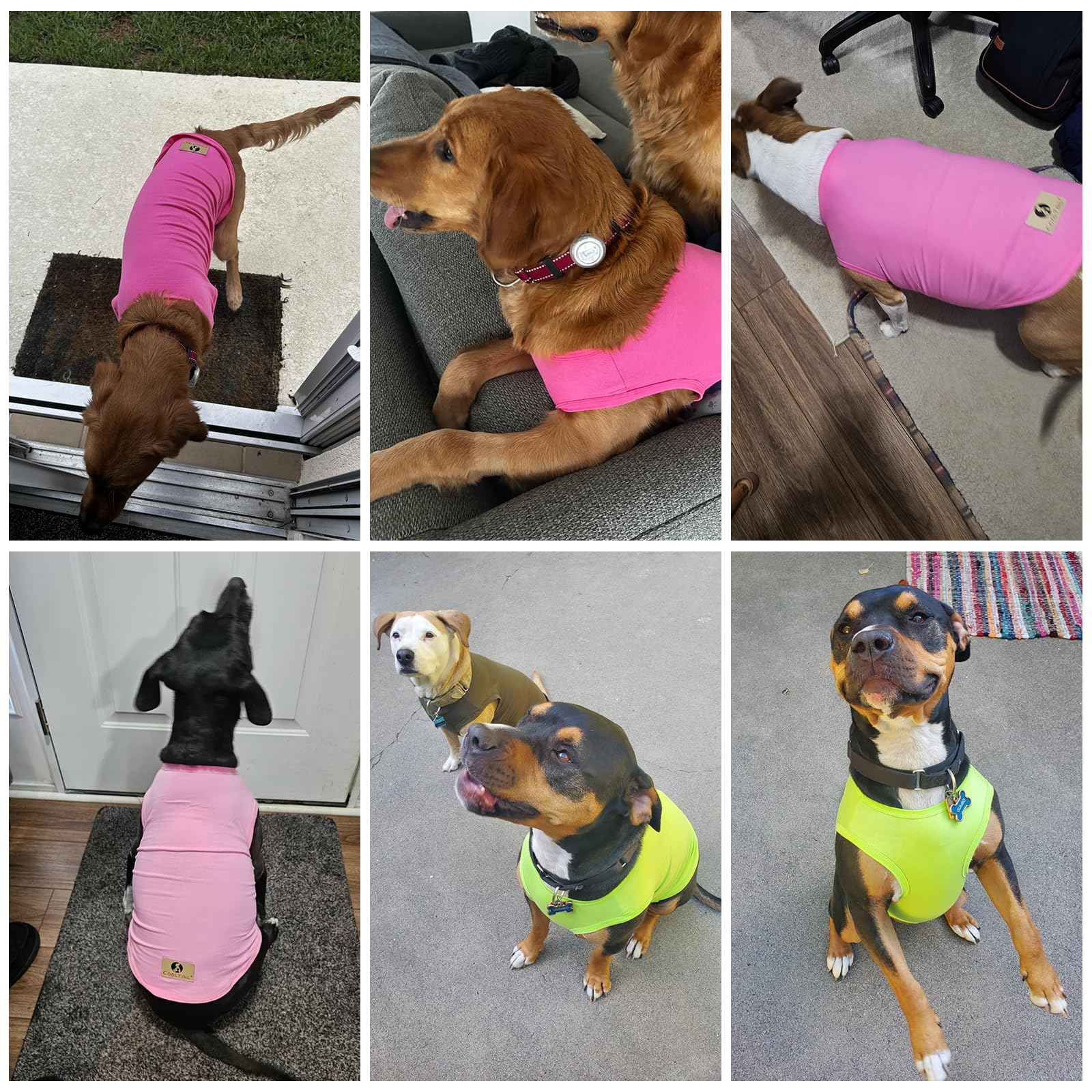 KOOLTAIL t-shirt chien grand en coton doux, idéal pour sorties quotidiennes.