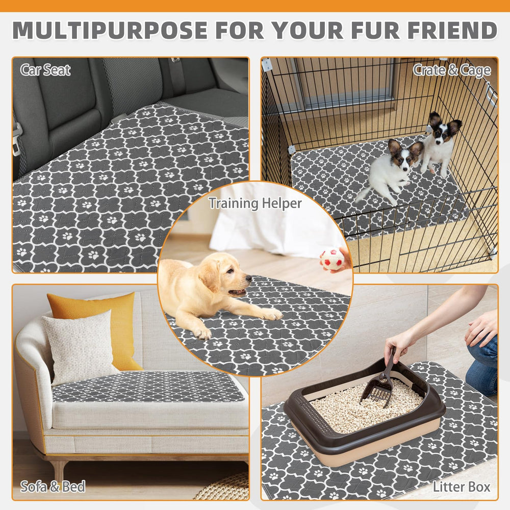 KOOLTAIL design motif pour un tapis plus attrayant