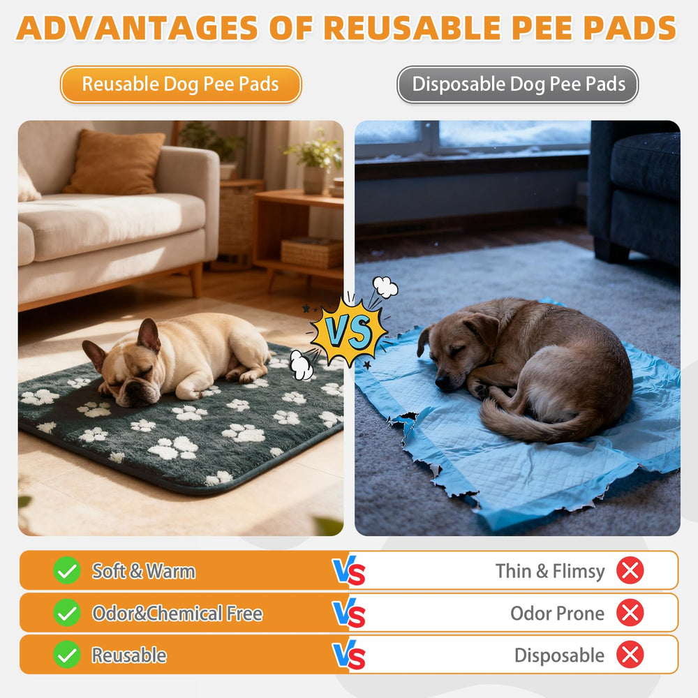 KOOLTAIL tapis doux et réconfortant, espace de repos agréable.