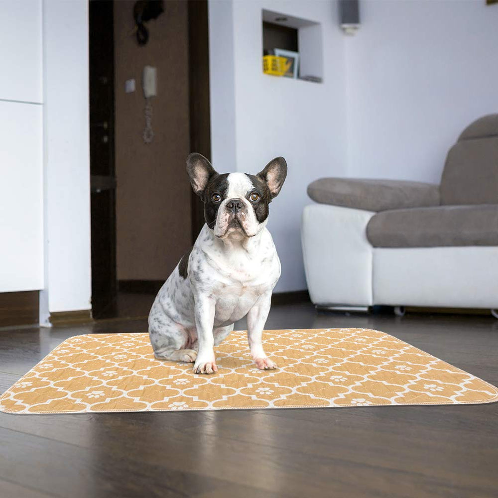 KOOLTAIL tapis-lavable-eco-reutilisable, solution économique et durable.