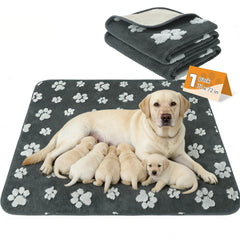 KOOLTAIL tapis mise bas lavable et imperméable, idéal pour gros chiens.