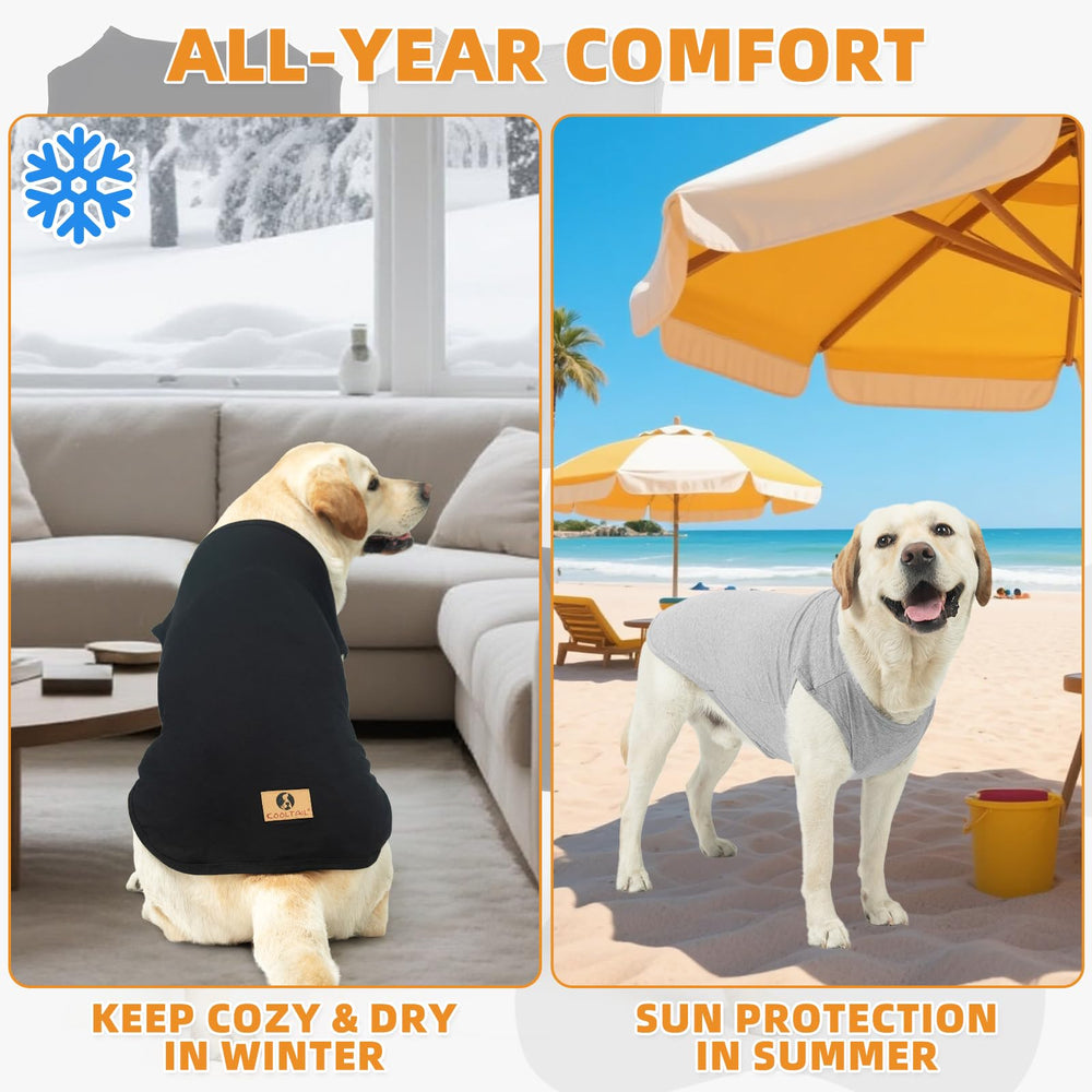 KOOLTAIL t shirt chien grand, confort adapté aux jours froids.