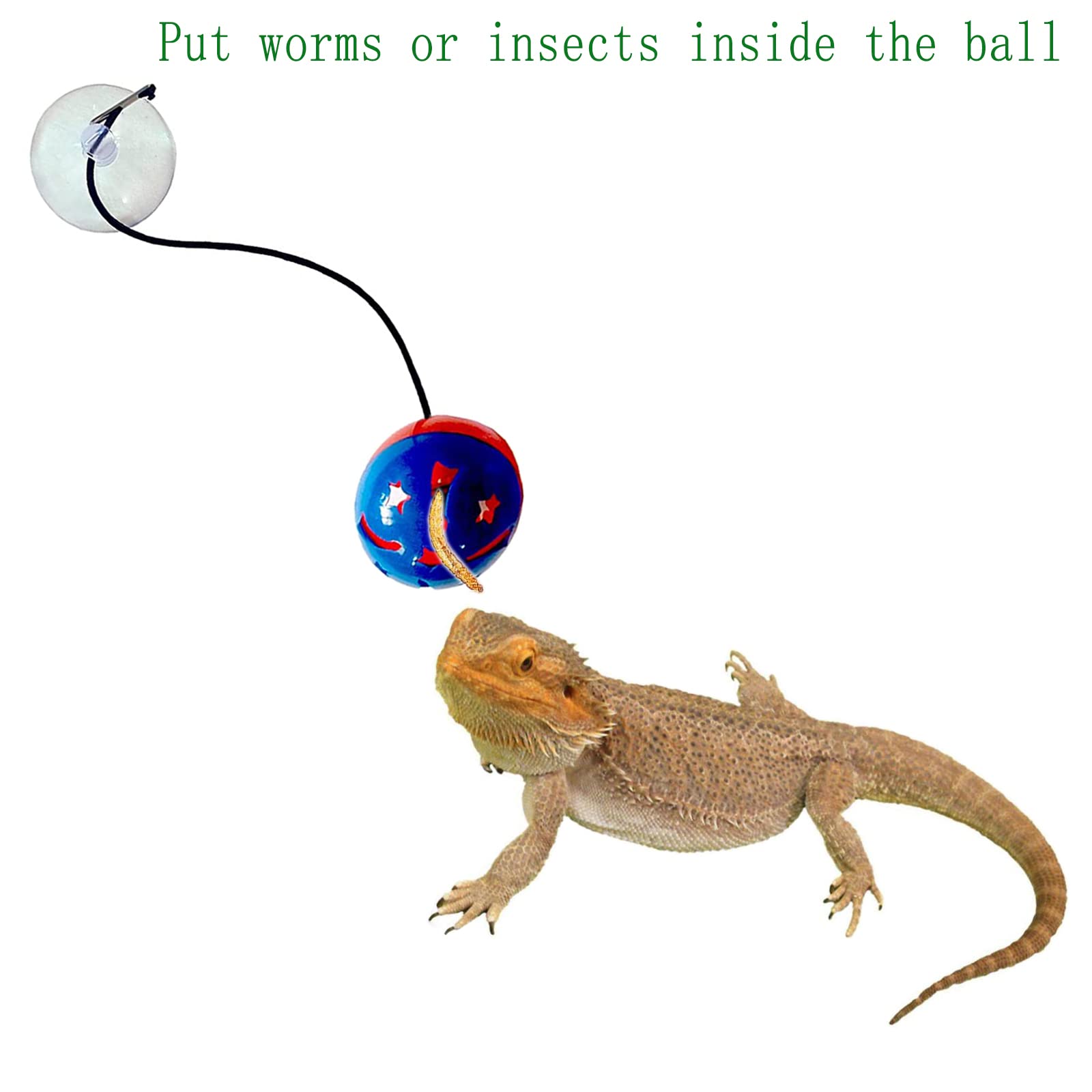 Boule reptile Koomduk ventouse sur terrarium, fixation aisée et jeu interactif.