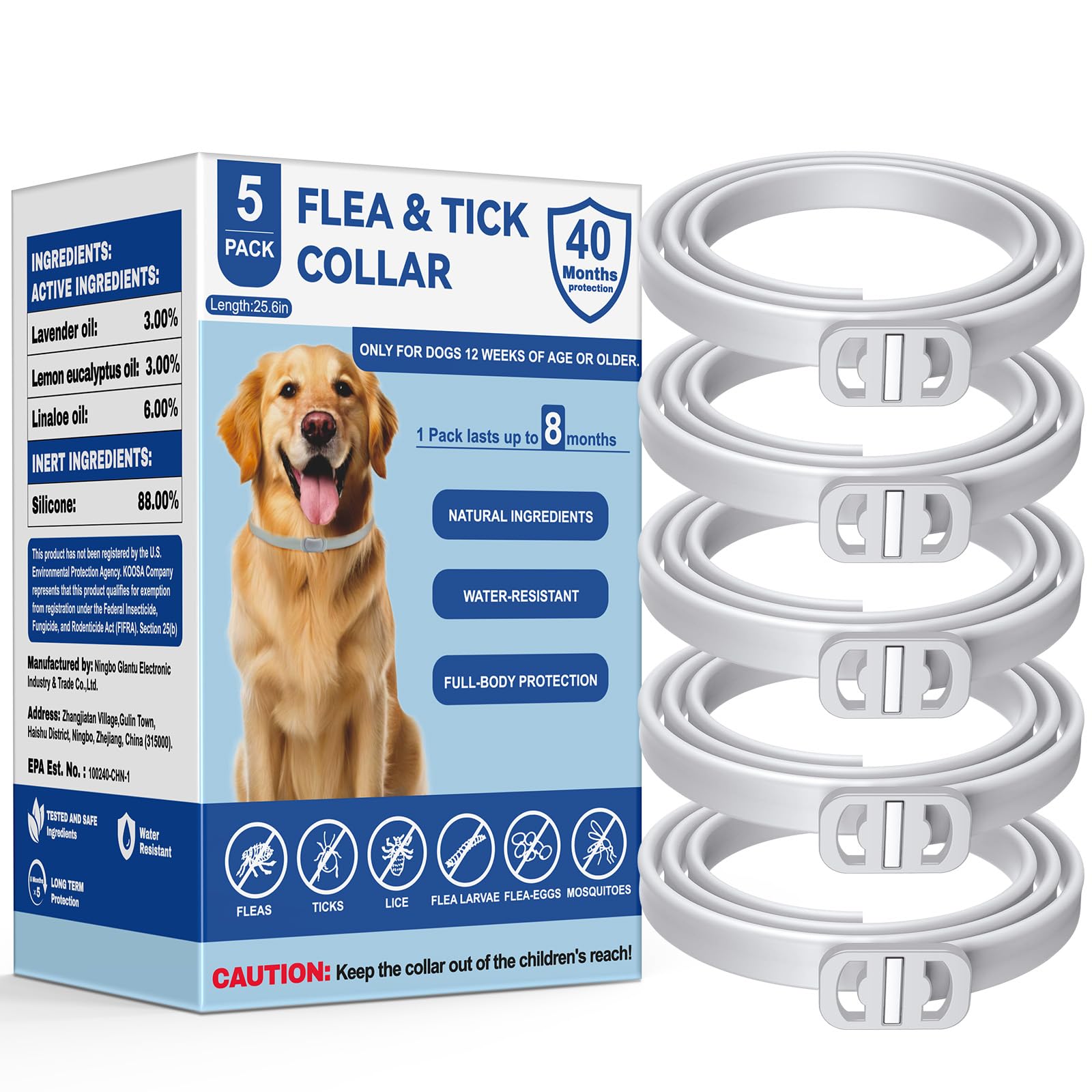 KOOSA collier-puces-tiques-chien en action, protection durable au quotidien
