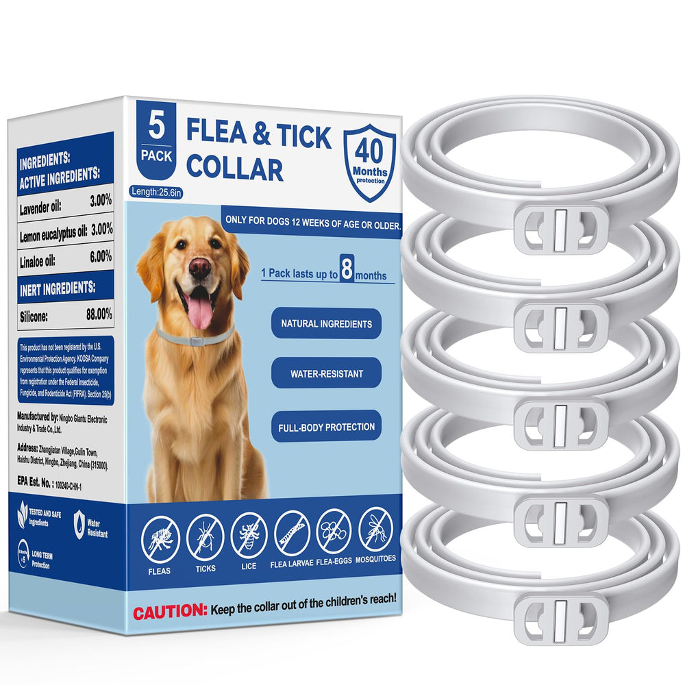 KOOSA collier-puces-tiques-chien en action, protection durable au quotidien