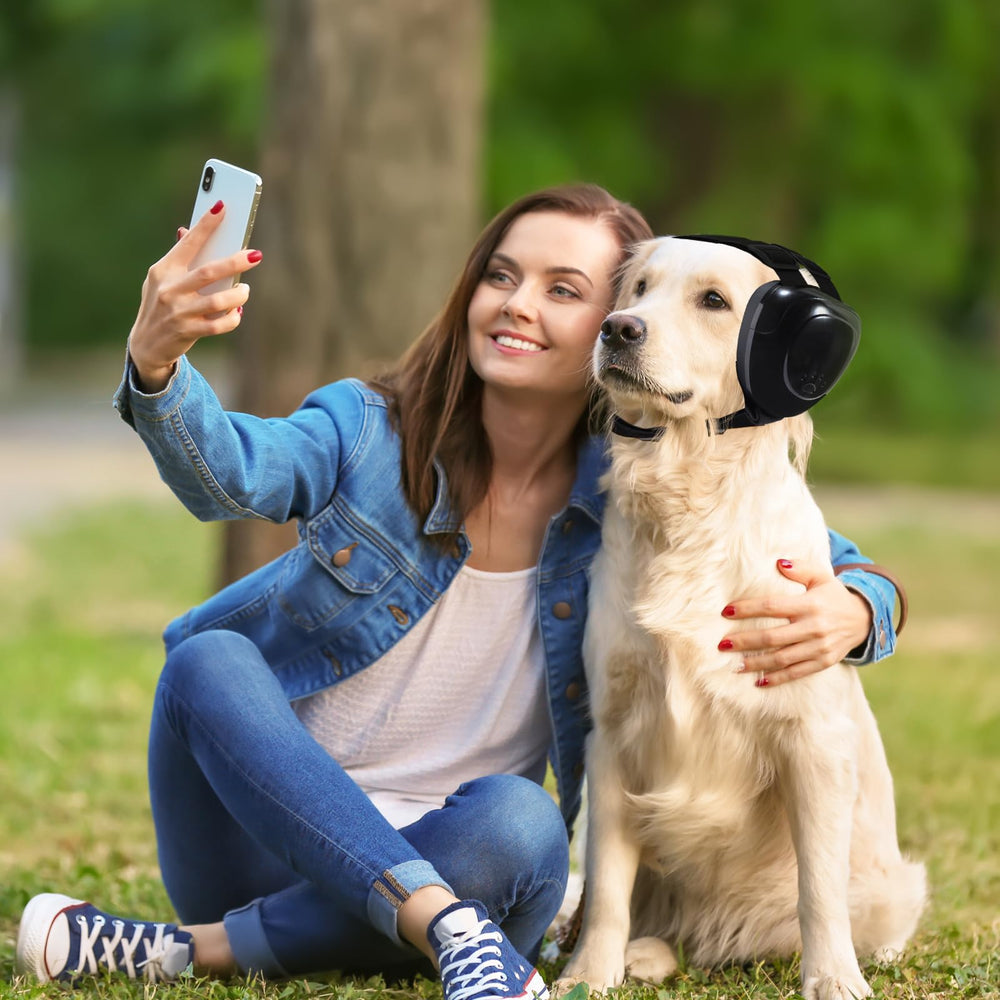 KOPBTBOY design professionnel pour chien, confort et durabilité démontrés.
