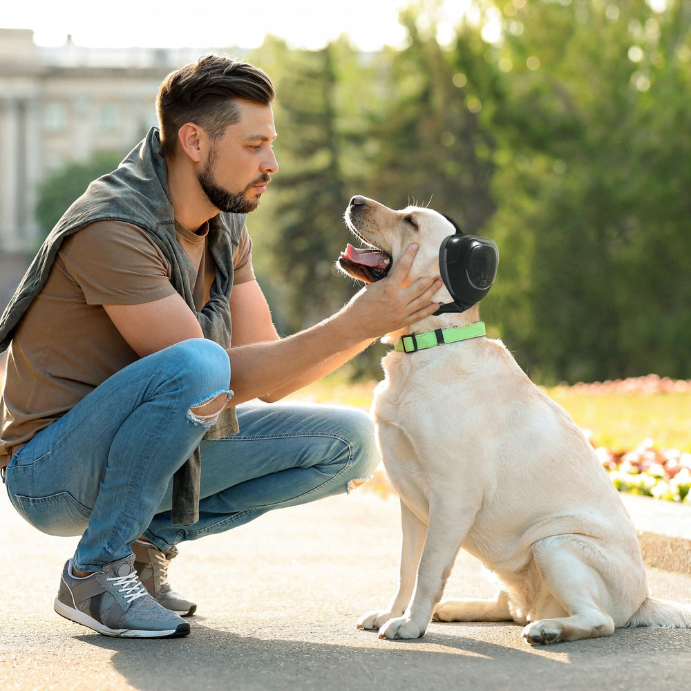 Utilisations intérieur et extérieur pour chien, parfaits lors de sorties et voyages.