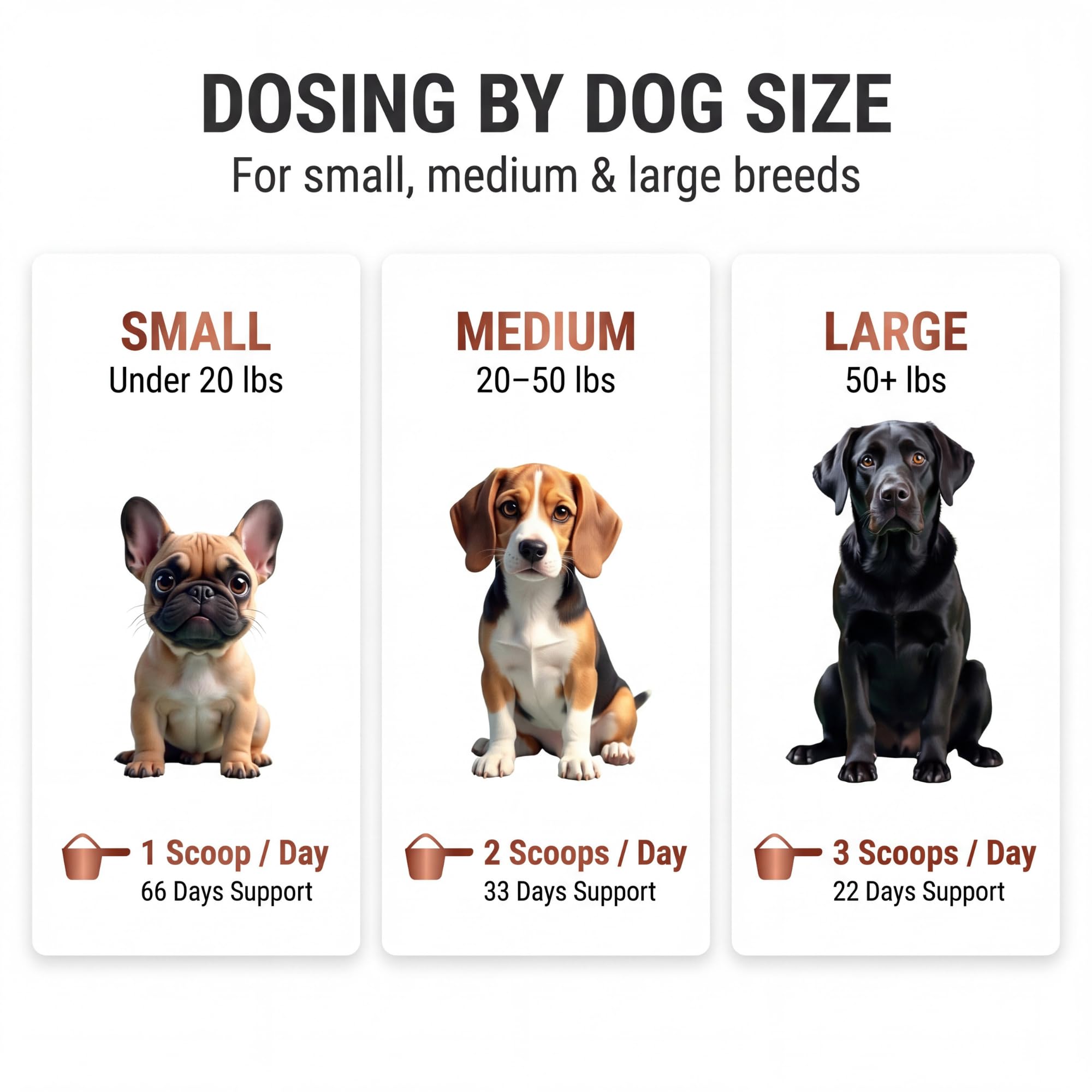 Kopo poudre multivitamine pour chien, soutien du cœur et énergie au quotidien.