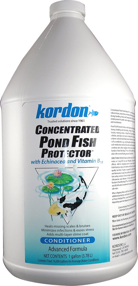 Bouteille KORDON Concentré Protecteur pour bassin, soutien à la guérison des poissons.