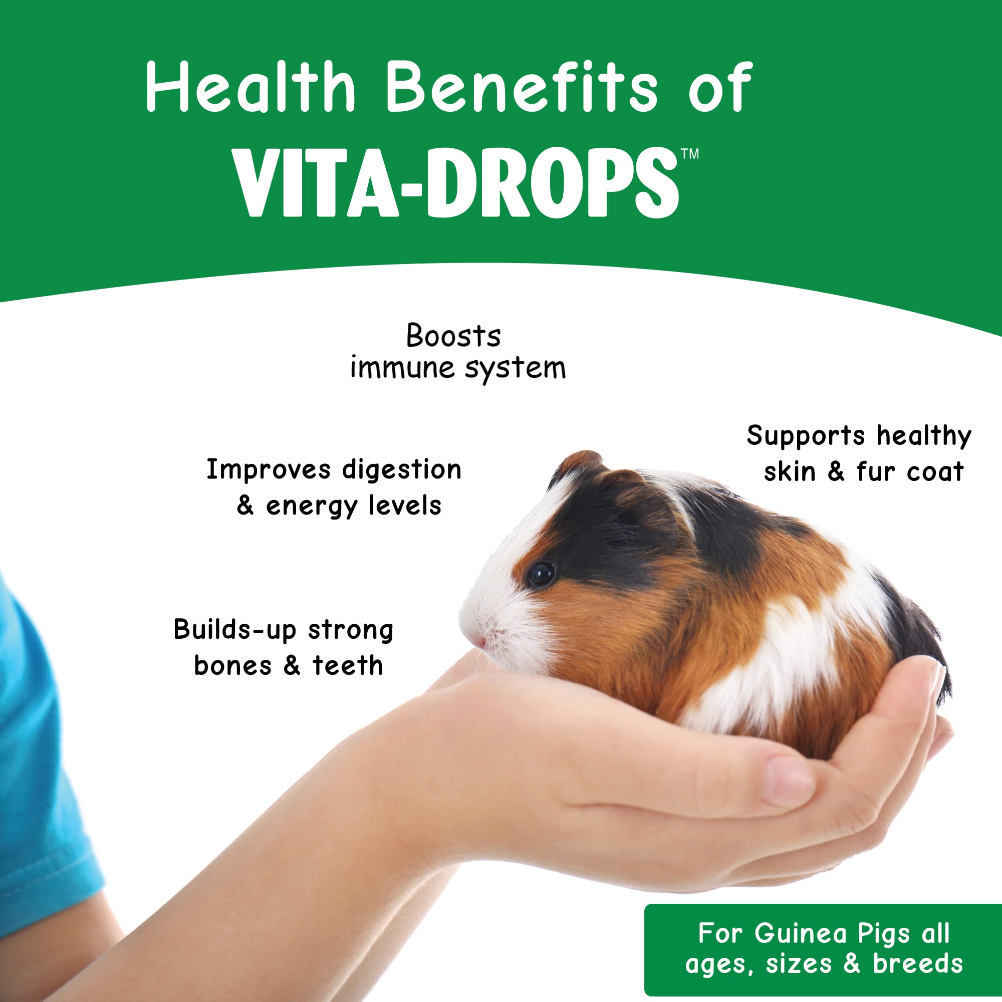 Vitamine C et immunité potentielle avec OASIS Vita cobaye
