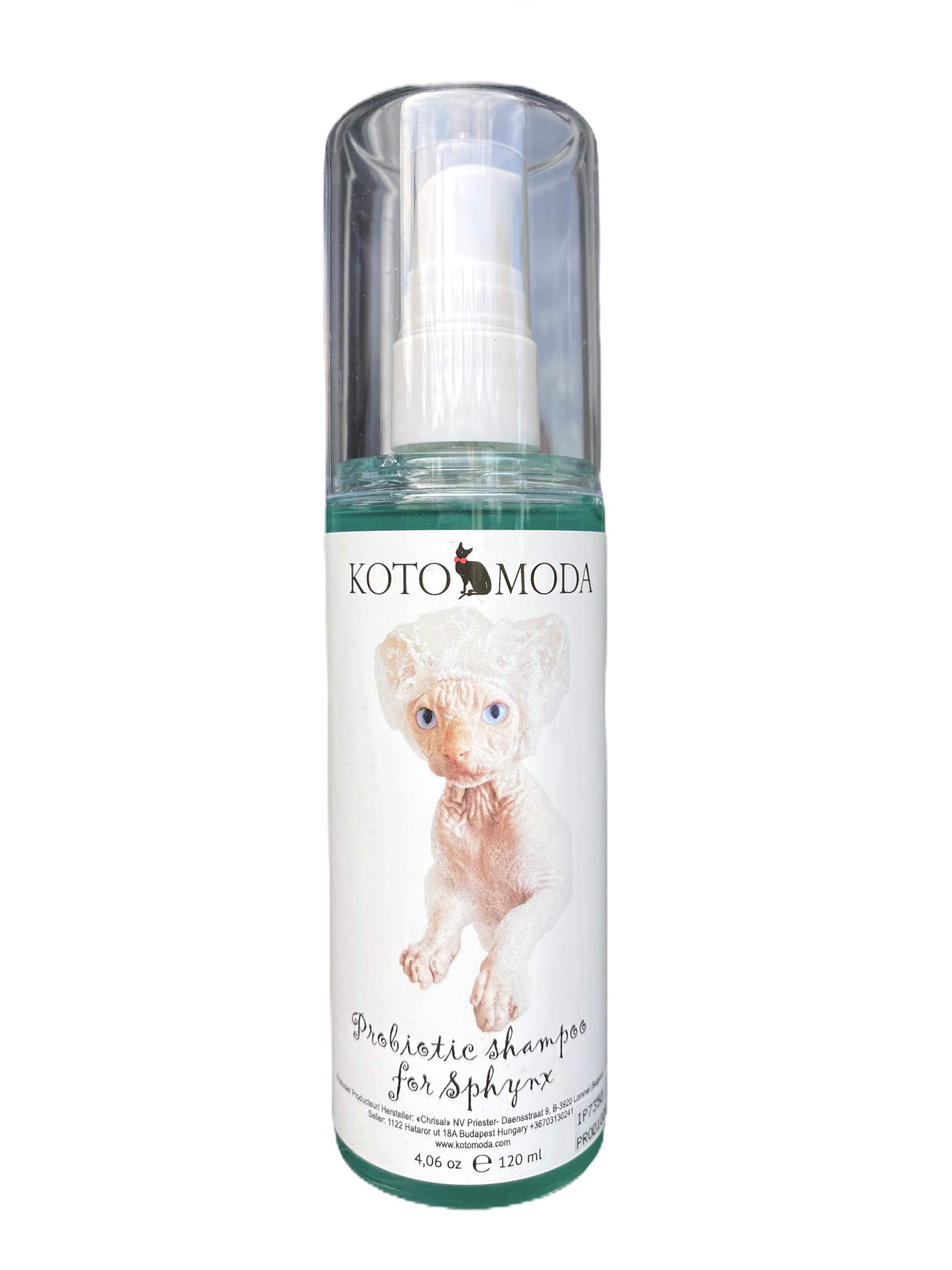 Kotomoda Shampoing Probiotique, bouteille élégante pour soin doux du sphynx.
