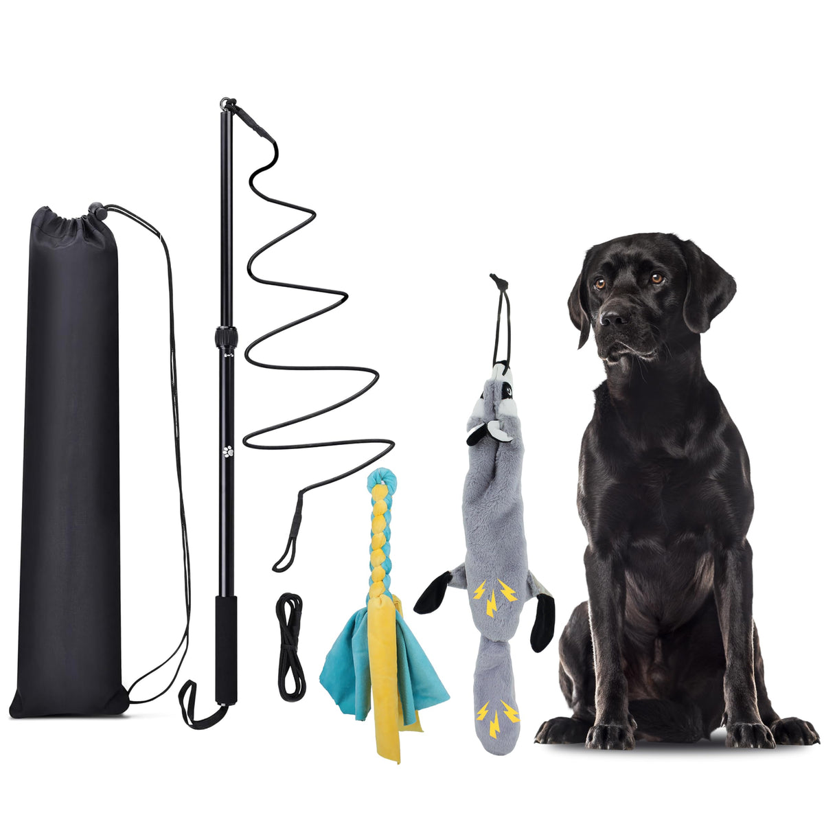 KOXXUD Flirt Pole pour chien extérieur, stimulation et exercice en plein air.