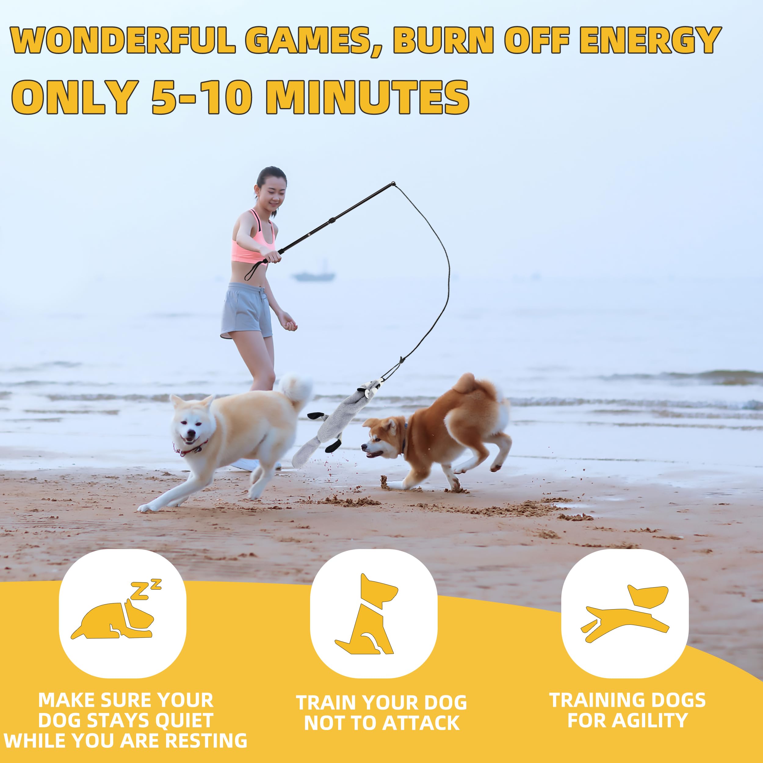 KOXXUD Flirt Pole pour chien intérieur, divertissement et énergie canalisée.