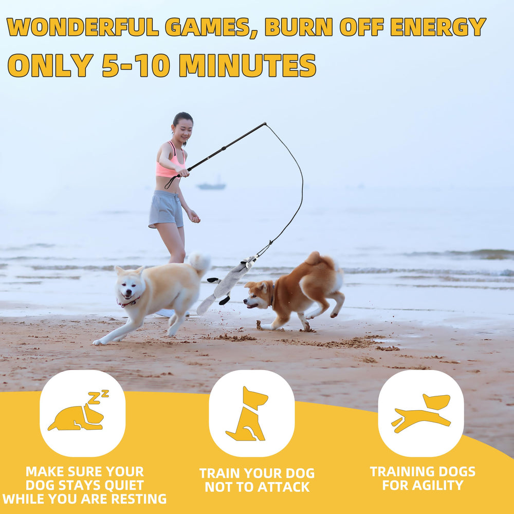 KOXXUD Flirt Pole pour chien intérieur, divertissement et énergie canalisée.