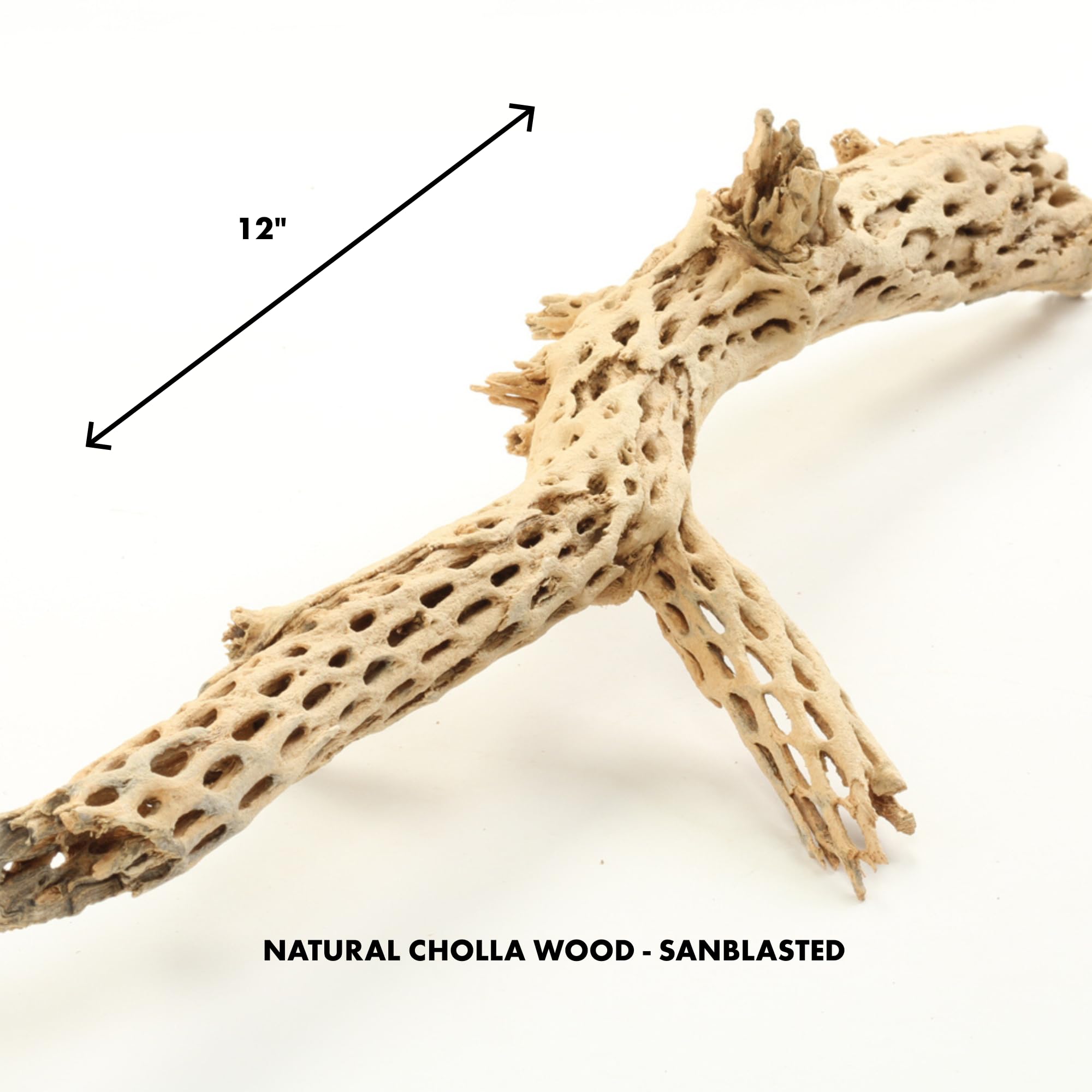 Koyal Wholesale branche cholla terrarium gecko, offre surface d’escalade.