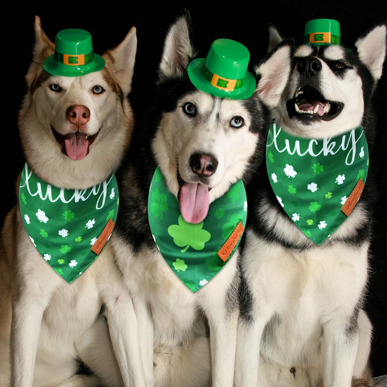 Bandana Saint-Patrick Kreyfer en portee M pour une sortie festive.