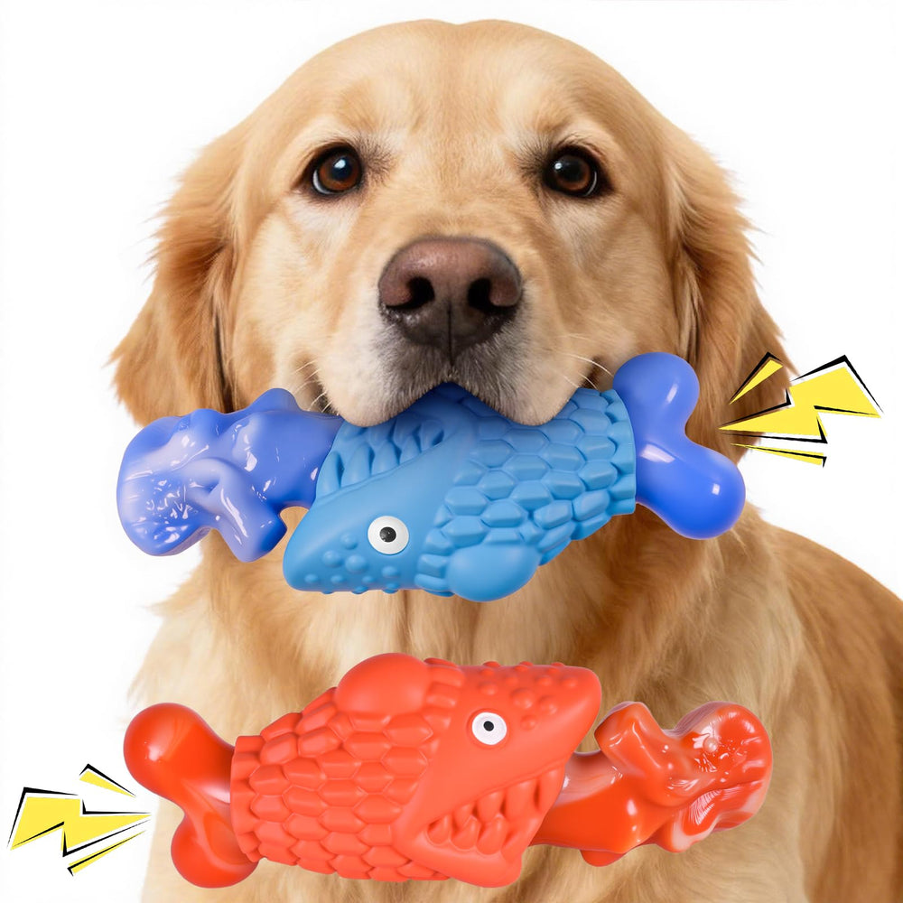 Jouet chien incassable Kseroo – ensemble de deux, idéal pour mors puissants.
