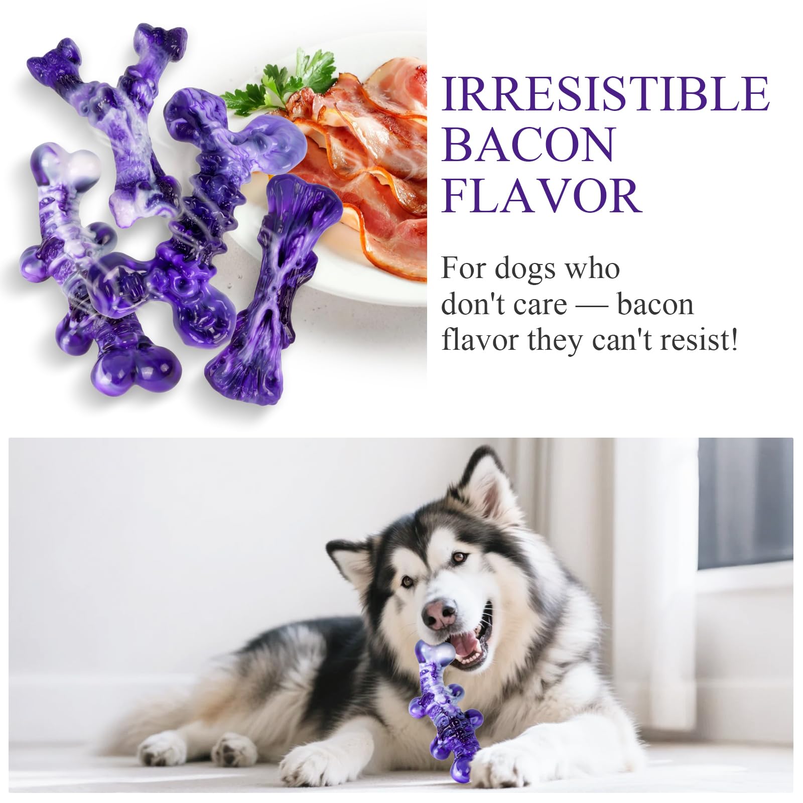 Jouet arôme bacon KSEROO X pour stimuler l'intérêt des chiens