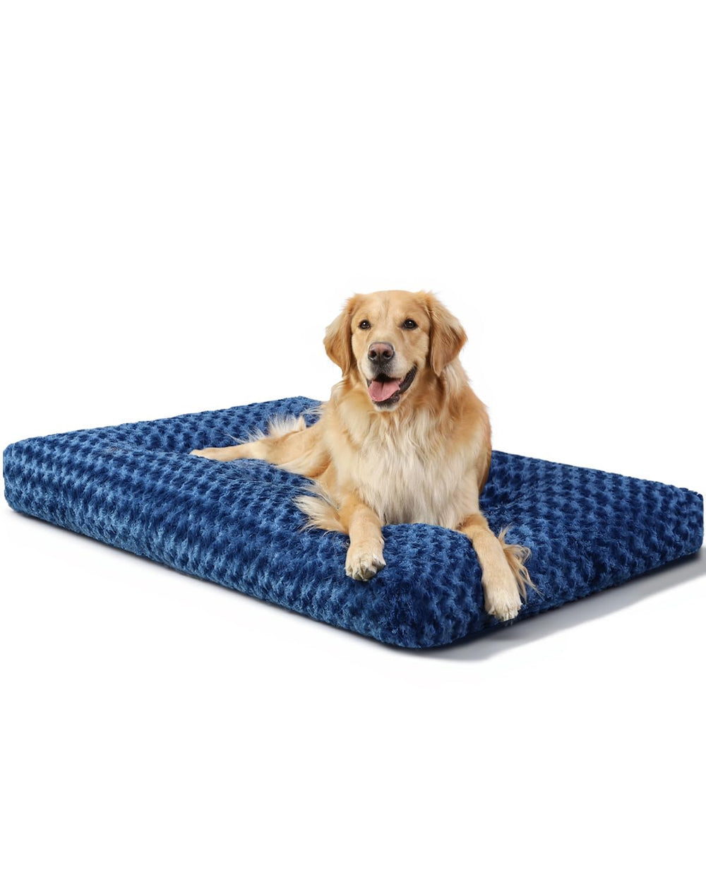 Lit pour chien KSIIA en bleu, douillet et lavable, pour repos assuré.
