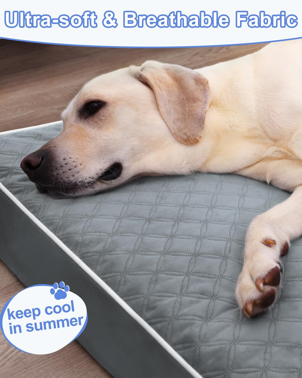 KSIIA Lit Chien XL – base anti-dérapante garantit la stabilité