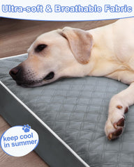 KSIIA Lit Chien XL – base anti-dérapante garantit la stabilité