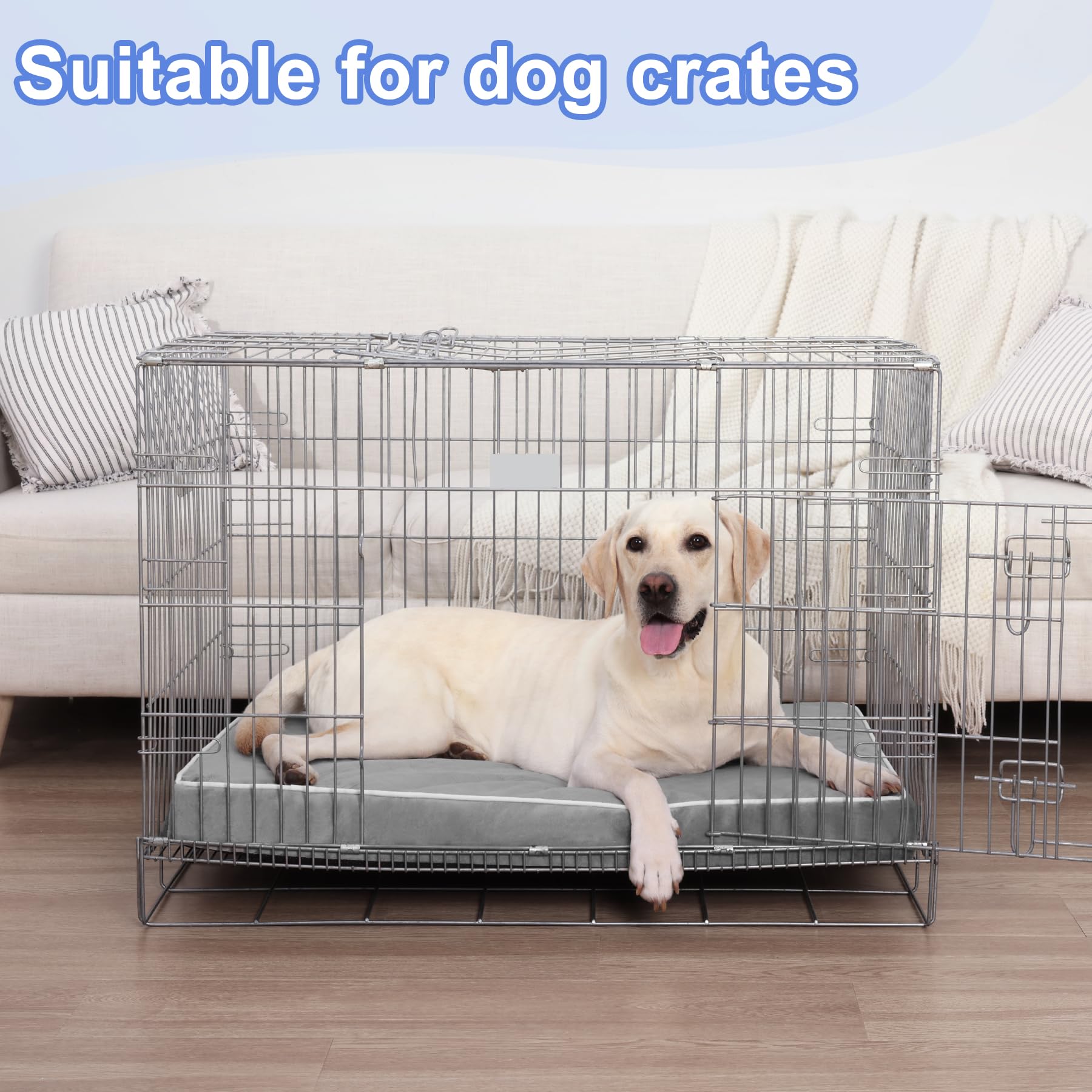 KSIIA usage quotidien: confort et repos pour chien de tous les jours.