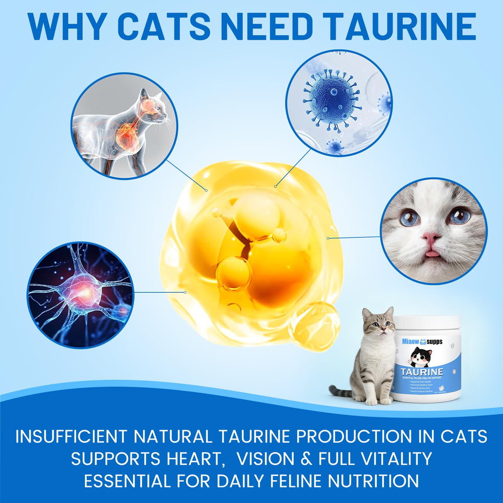 Ksjue Kittysupps Taurine: emballage durable pour une utilisation prolongée.