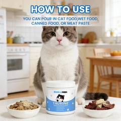 Ksjue Kittysupps Taurine: poudre se mêlant facilement à nourriture humide ou sèche.