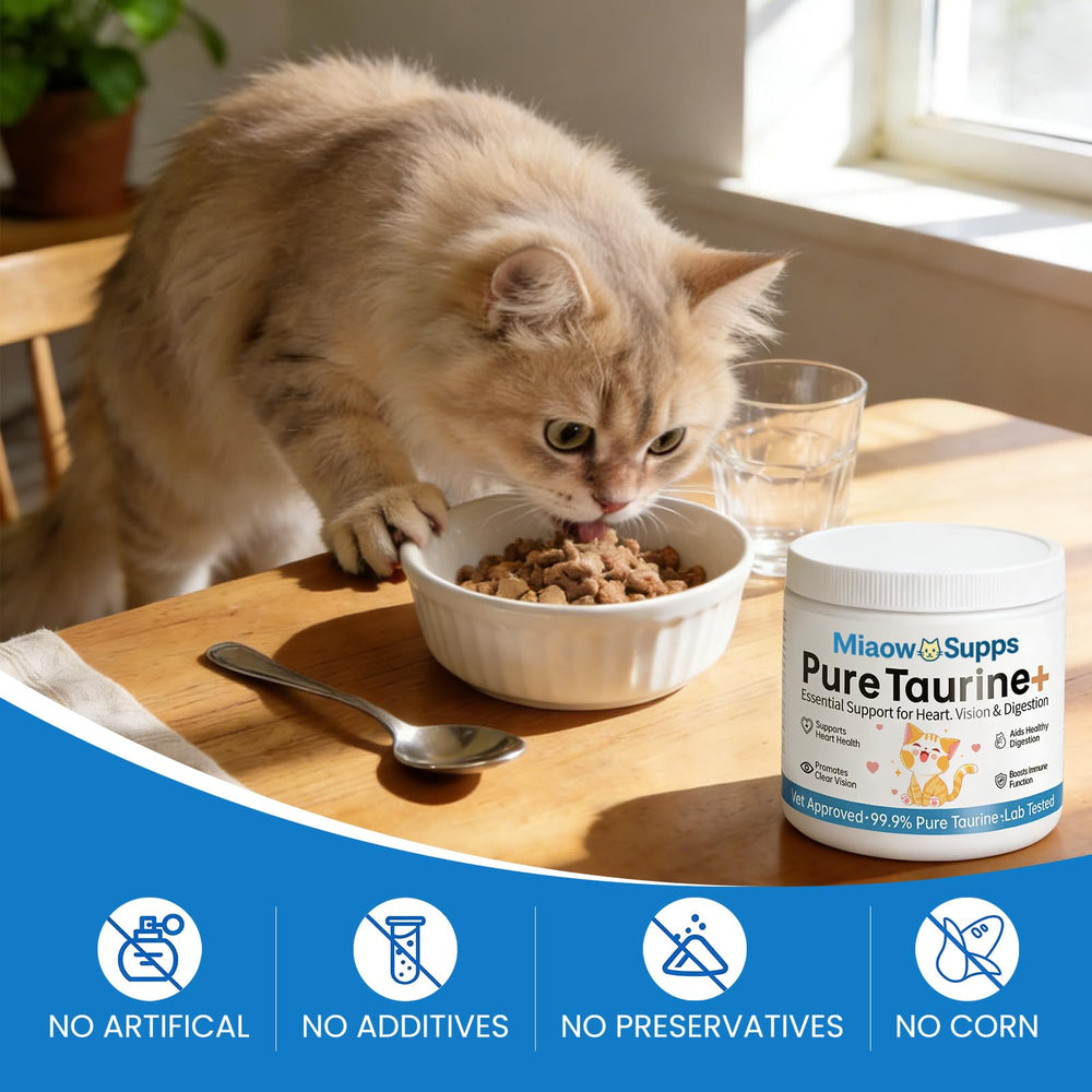 Miaow Supps Taurine Chat : pelage plus brillant et énergie potentielle.