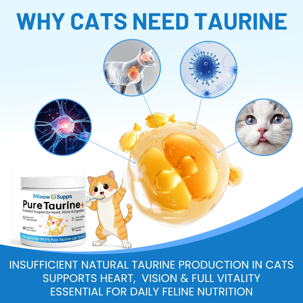 Miaow Supps Taurine Chat : pot de 200 g prêt pour le quotidien.