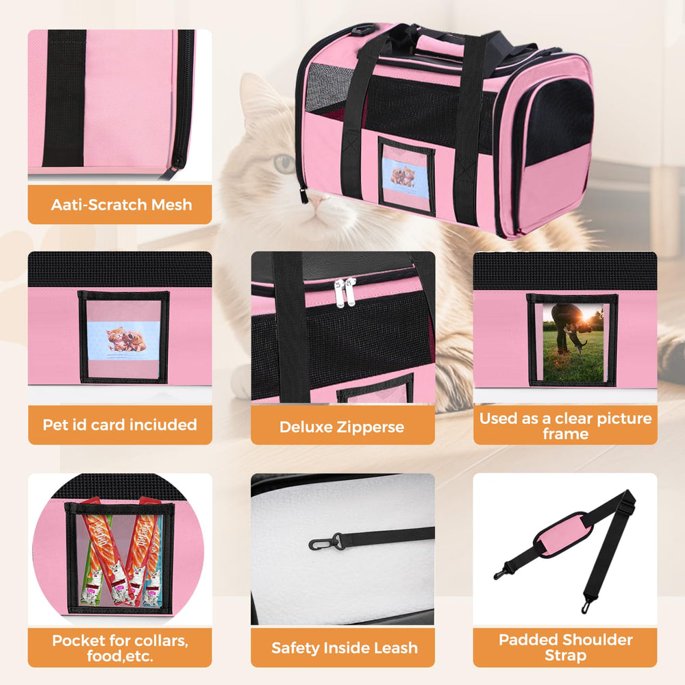 Conteneur alimentaire pliable inclus, pratique lors des sorties.