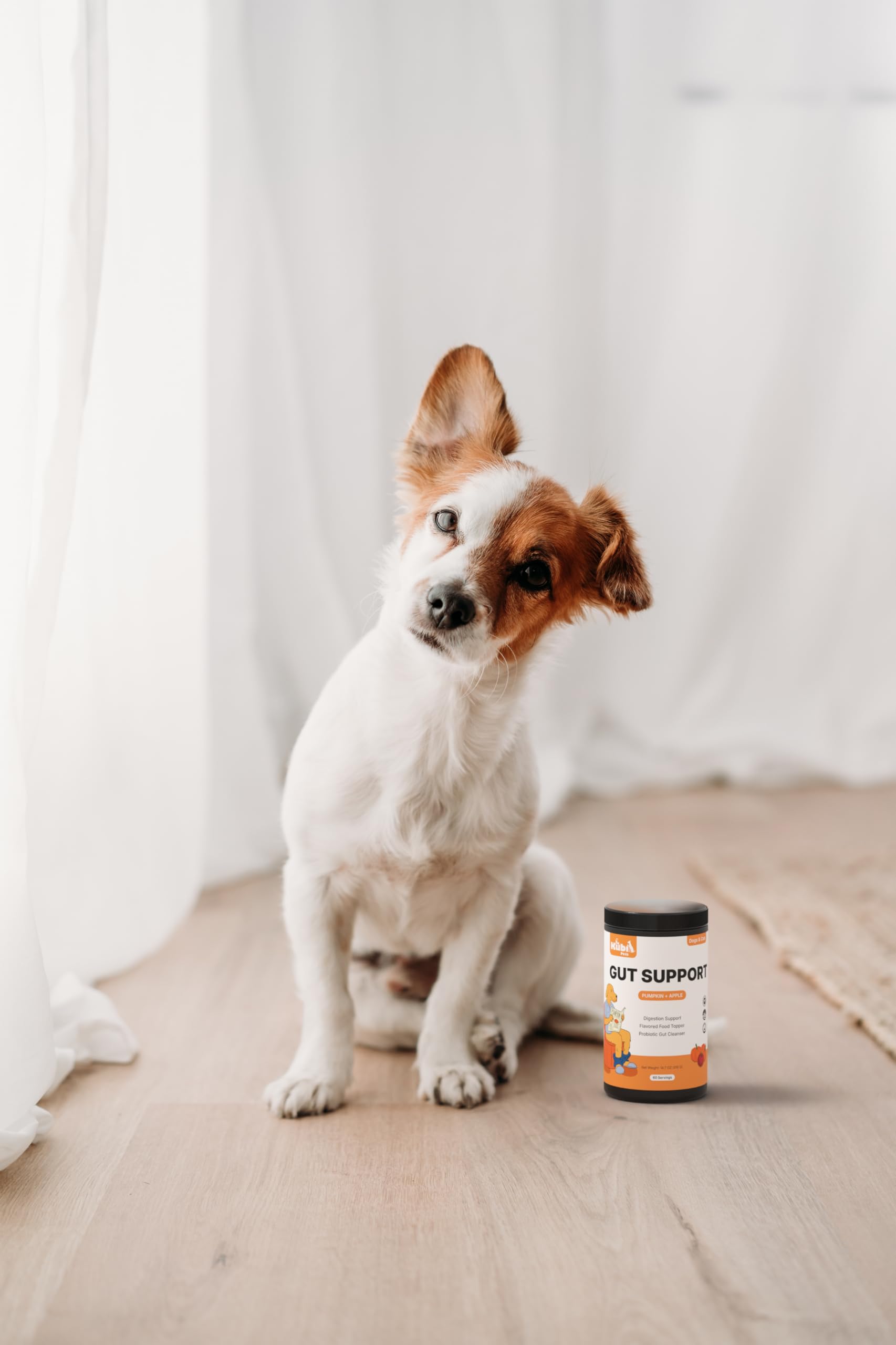 Chien heureux grâce au soutien digestif quotidien de Kubi Pets.