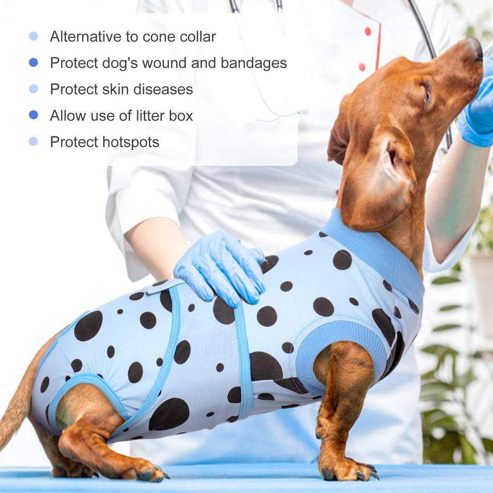 Kuoser Ajustement taille Vetement Chien bleu a pois, facile a ajuster