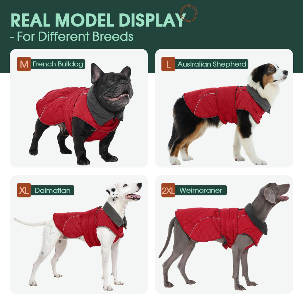 Manteau Kuoser pour chien avec fermeture zippée et harnais, pratique et sûr.