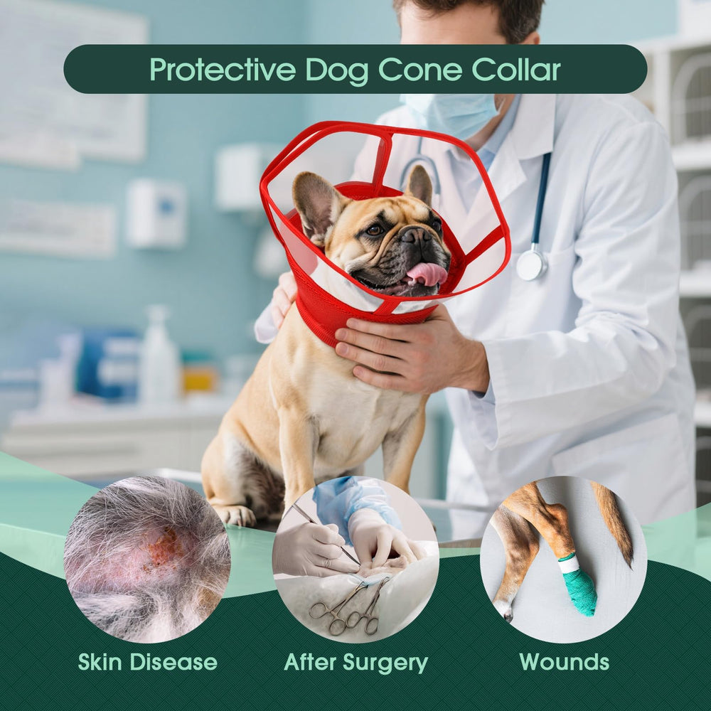 Kuoser collier-cone, intérieur en mesh doux pour le confort quotidien du chien.