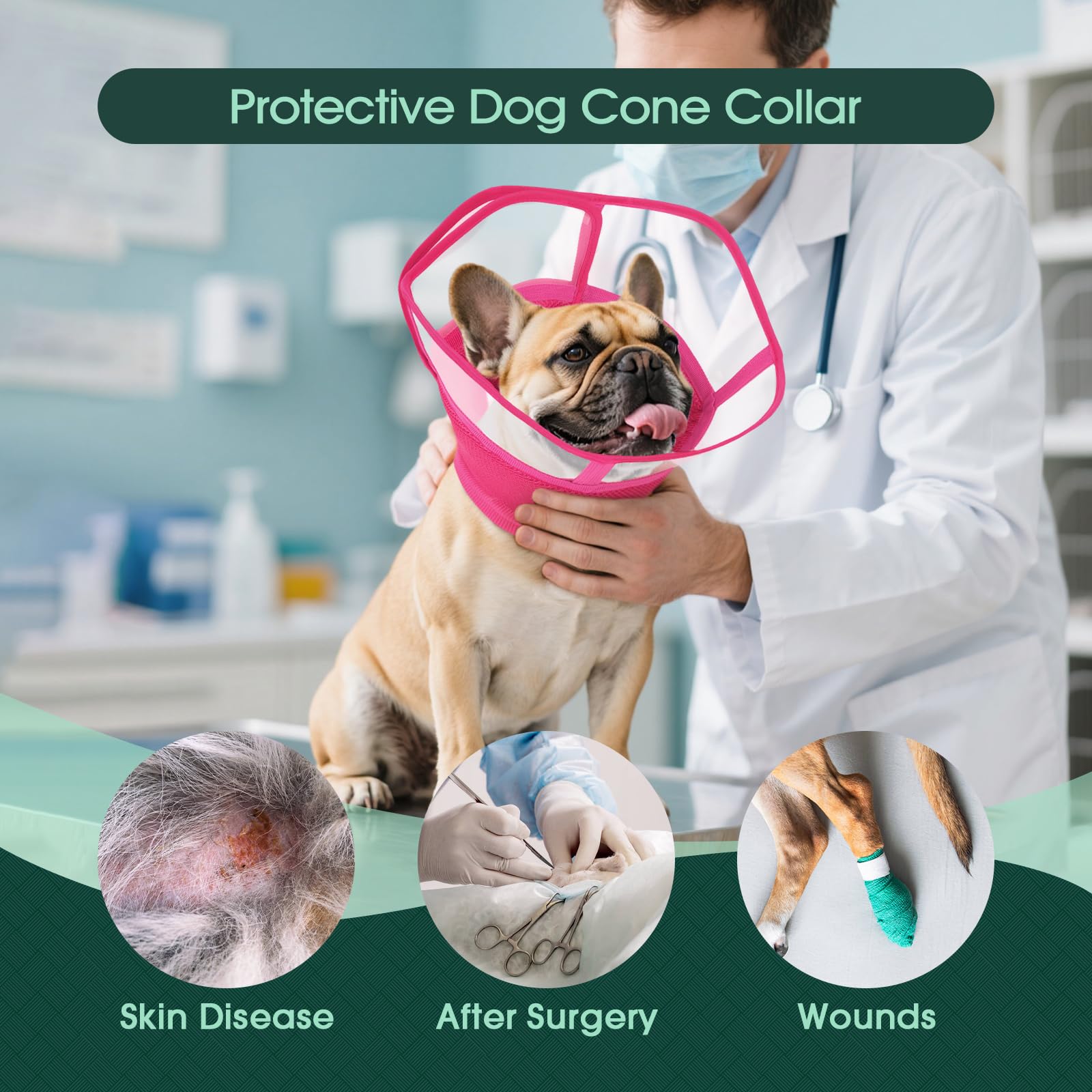 Kuoser collier conique doux pour chien avec visibilite claire lors des repas.