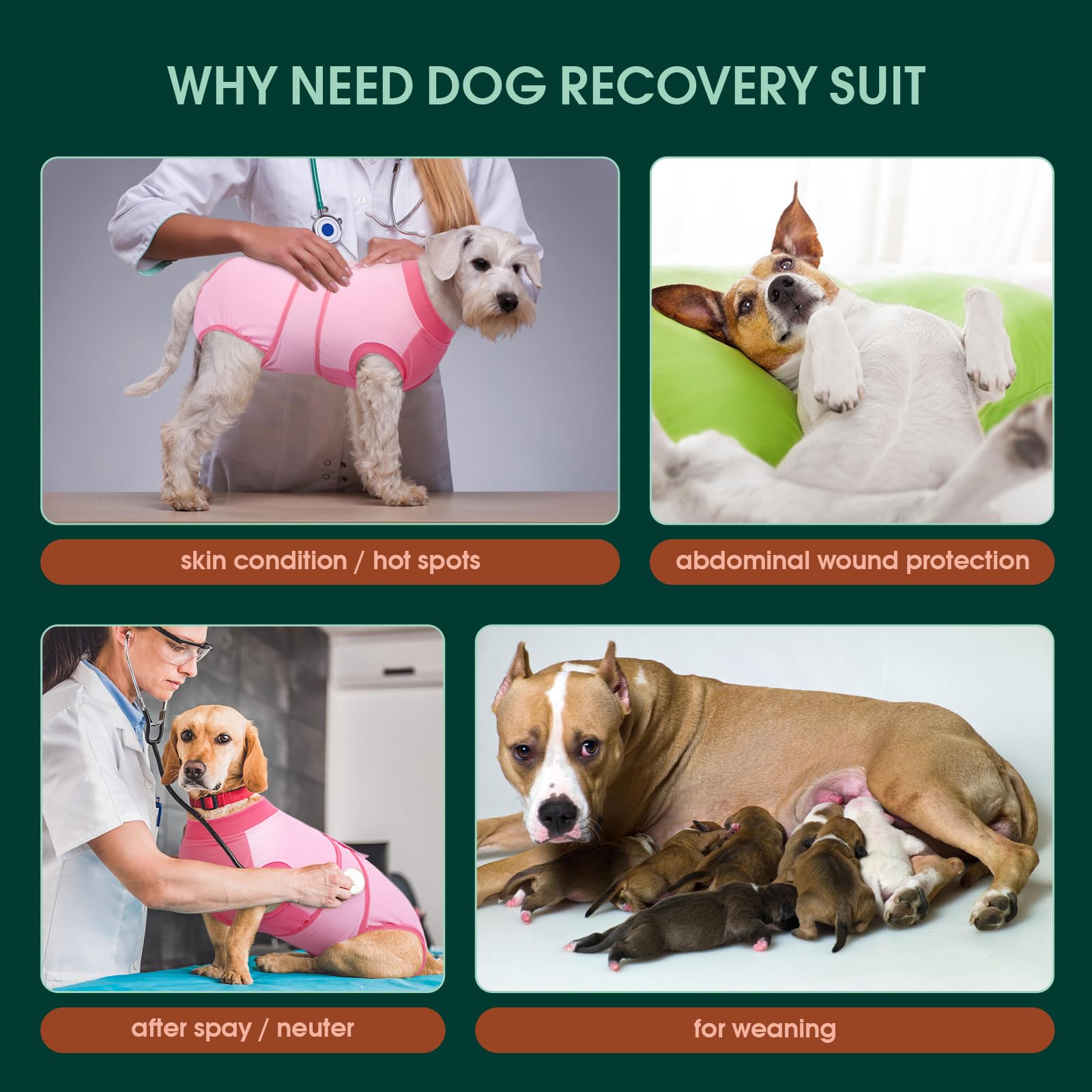 Kuoser tenue post chirurgie chien permet des mouvements naturels sans cône